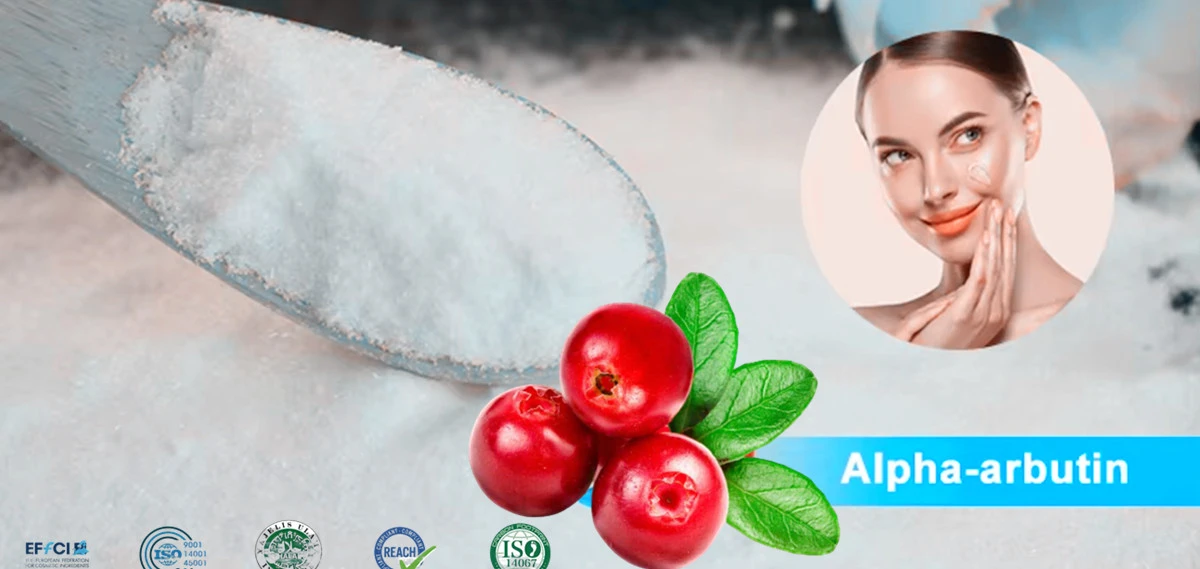Alpha Arbutin CAS 84380-01-8 Alpha Arbutin CAS 84380-01-8